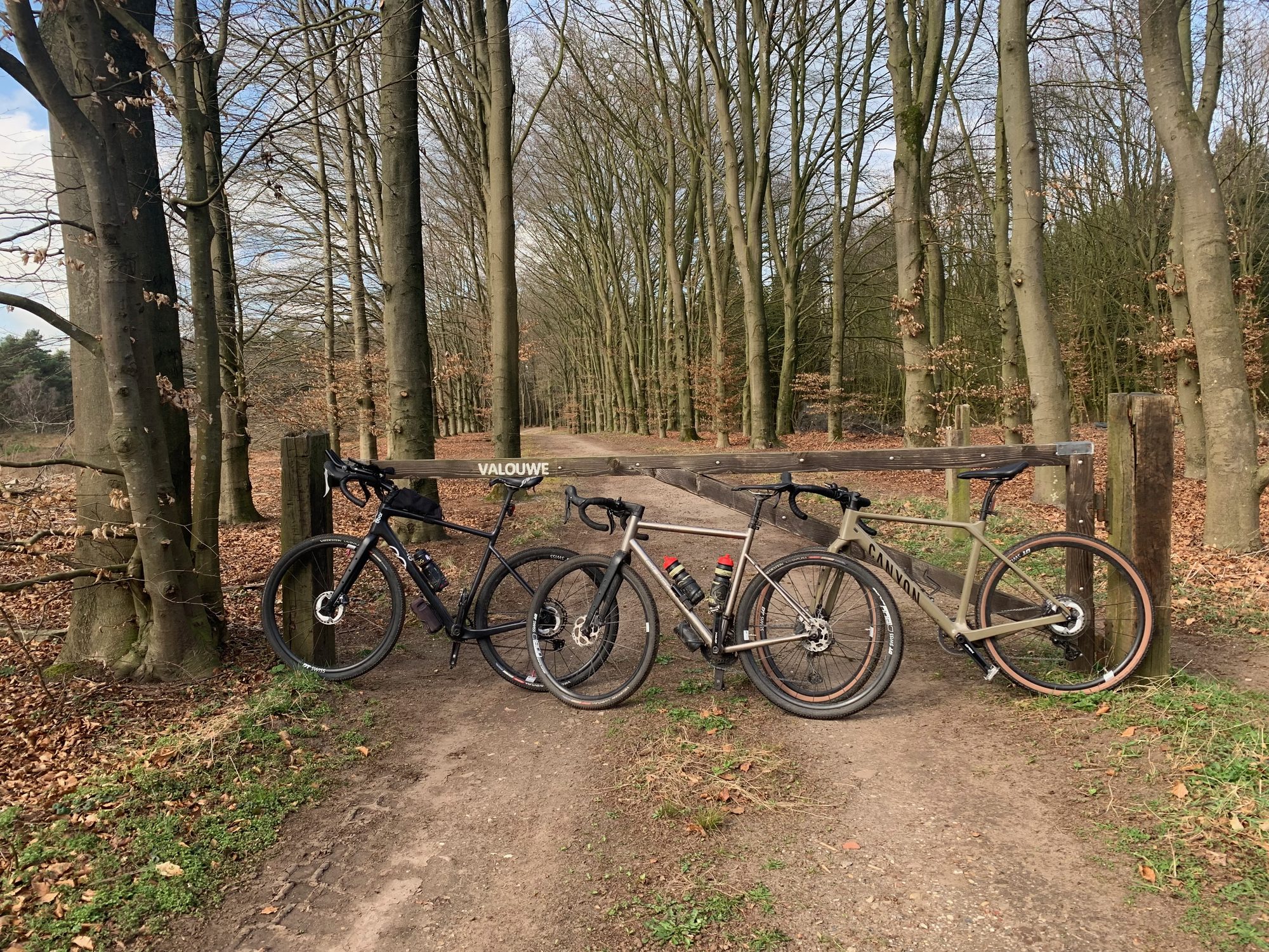 Drie gravelbikes bij een bospoort