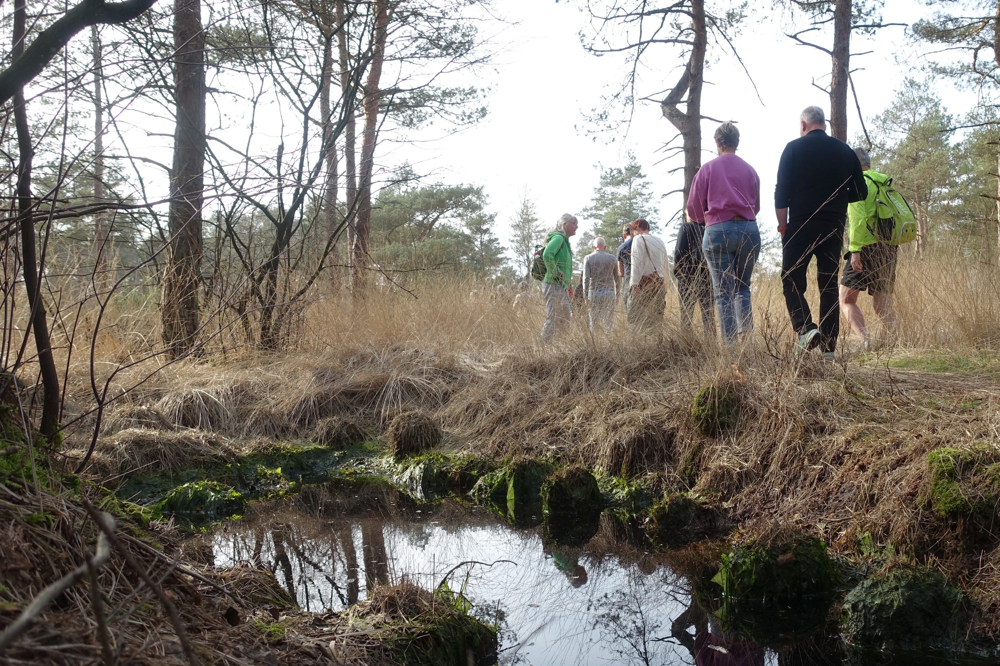 Groep wandelt door een heidegebied langs water