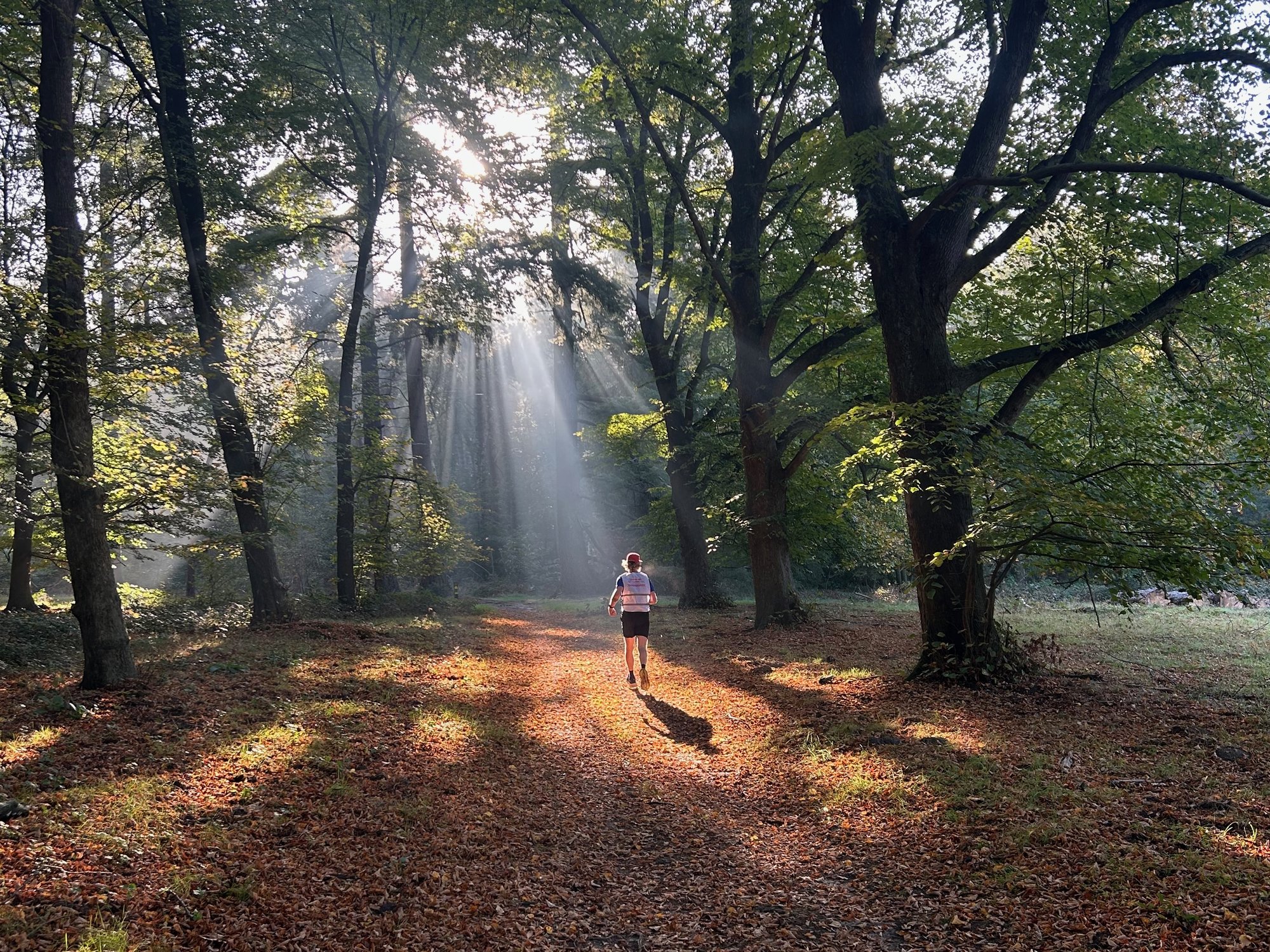 Trailrunner op een bospad in het ochtendlicht