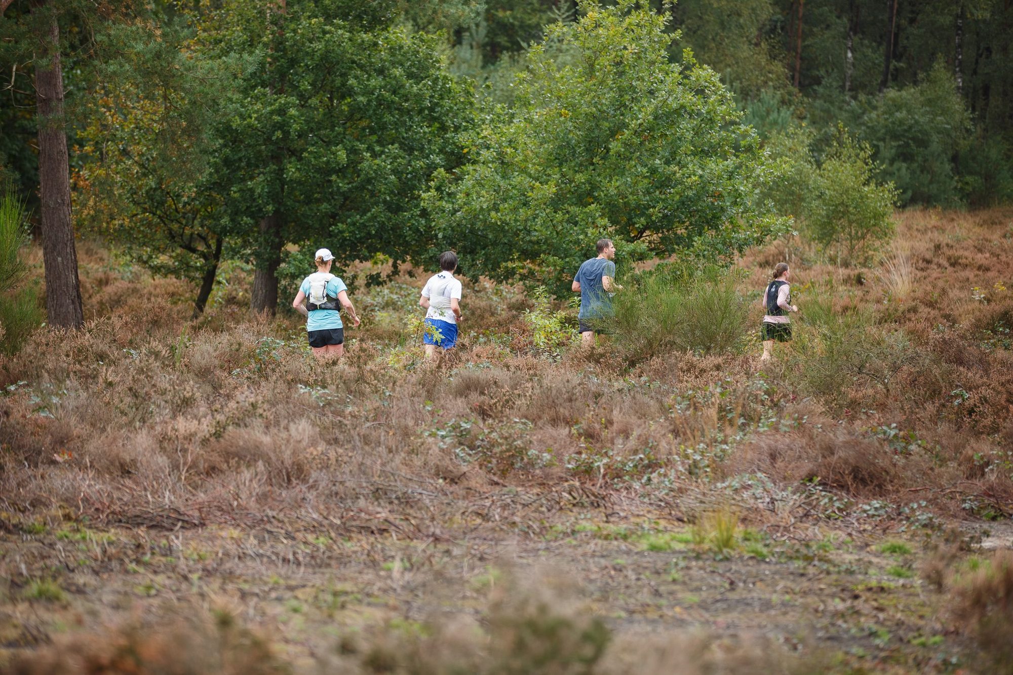 Trailrunners op de hei tussen de bomen